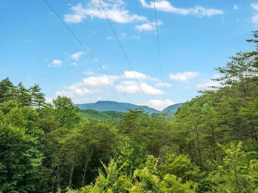 118 Price Road Reliance TN 37369