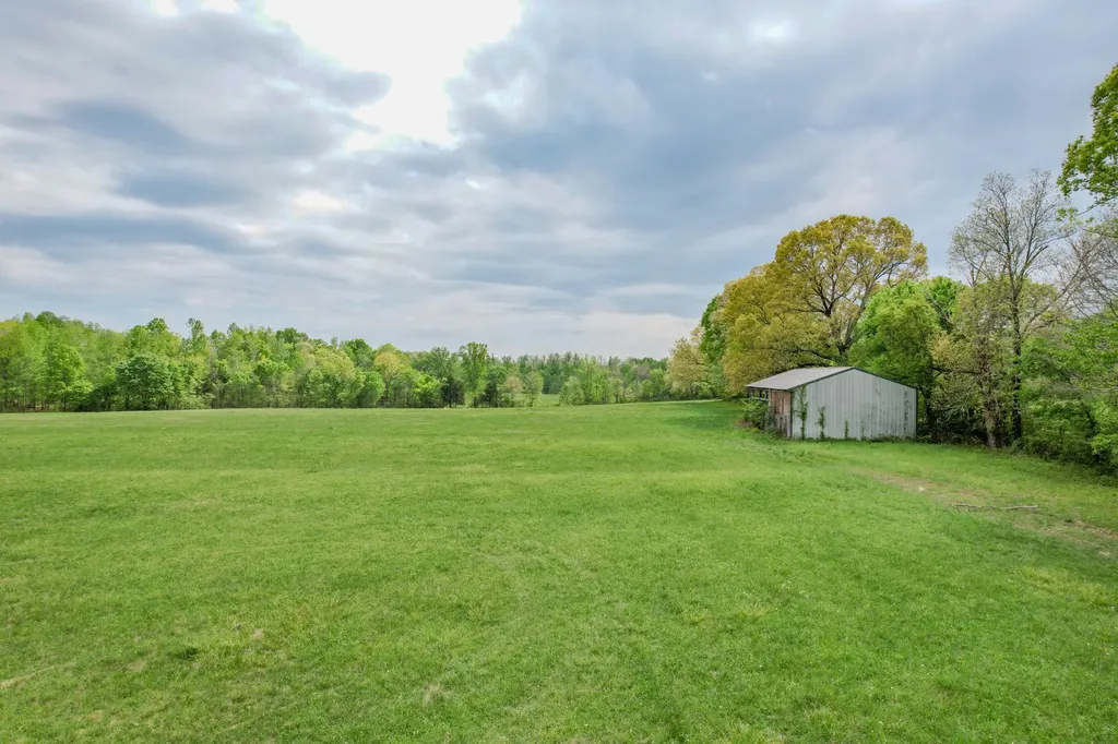 0 Puncheon Branch Minor Hill TN 38473
