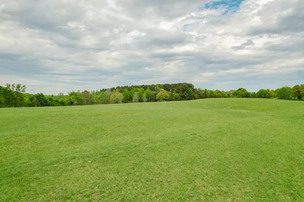 0 Puncheon Branch Minor Hill TN 38473