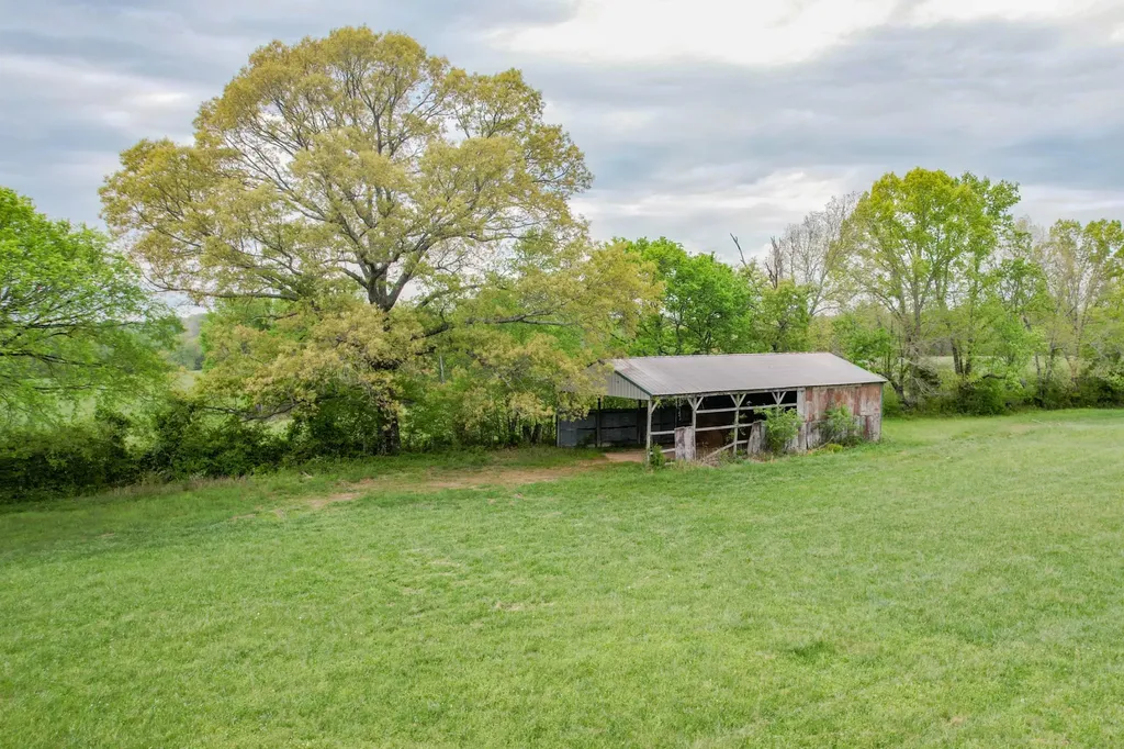 0 Puncheon Branch Minor Hill TN 38473