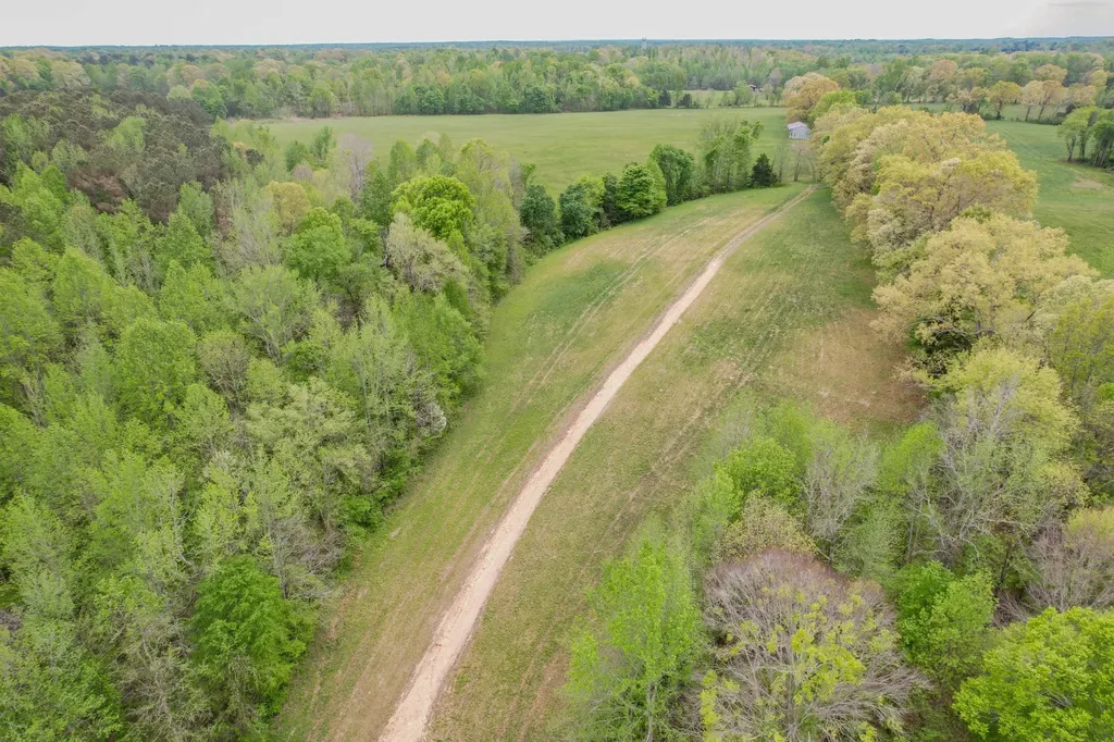 0 Puncheon Branch Minor Hill TN 38473