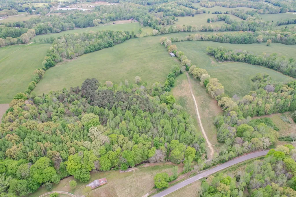0 Puncheon Branch Minor Hill TN 38473