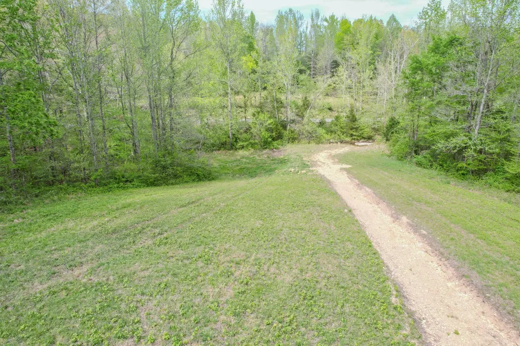 0 Puncheon Branch Minor Hill TN 38473