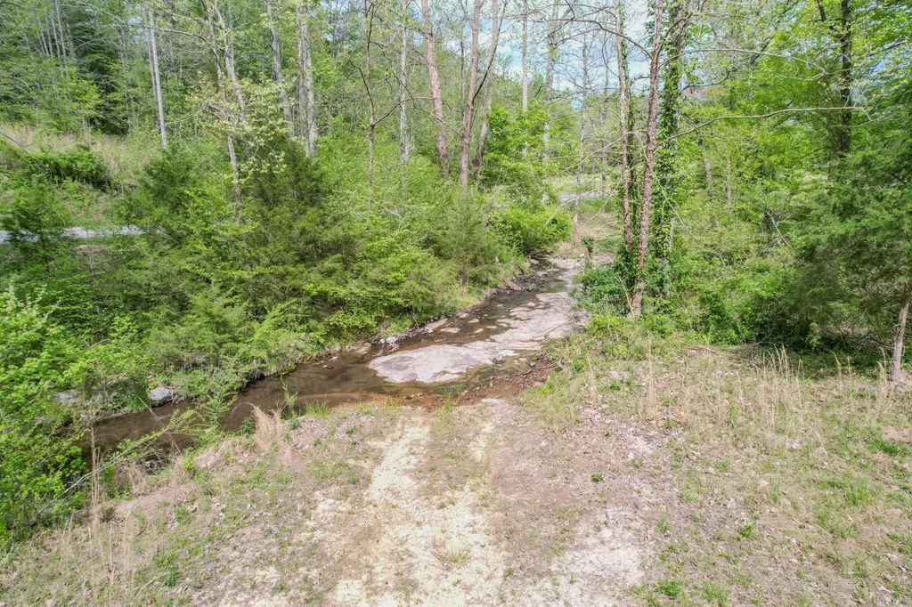 0 Puncheon Branch Minor Hill TN 38473