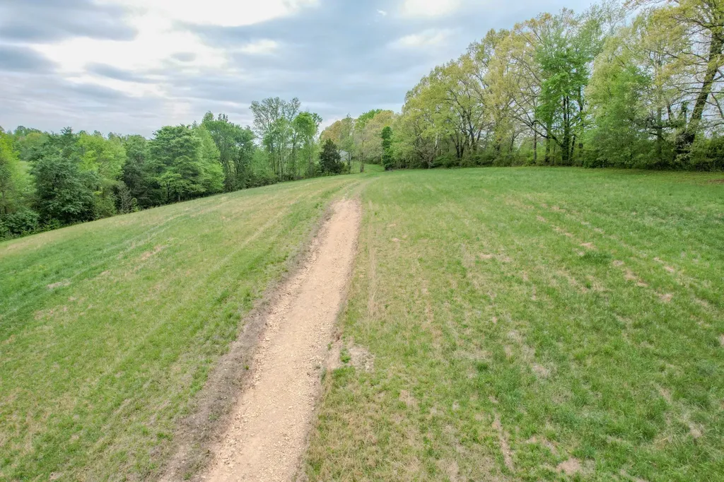 0 Puncheon Branch Minor Hill TN 38473