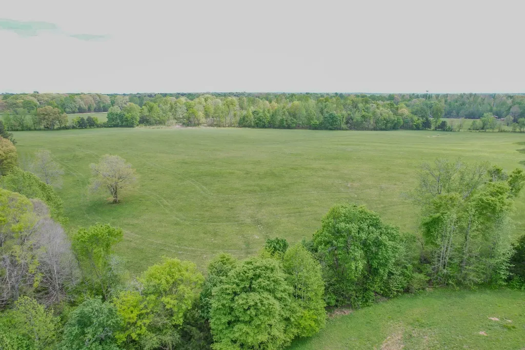 0 Puncheon Branch Minor Hill TN 38473