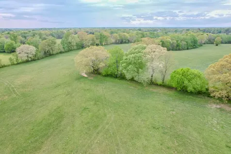 0 Puncheon Branch Minor Hill TN 38473