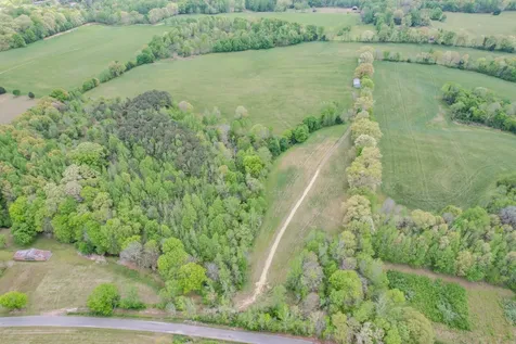 0 Puncheon Branch Minor Hill TN 38473