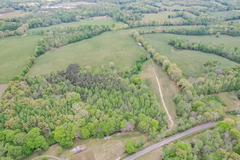 0 Puncheon Branch Minor Hill TN 38473