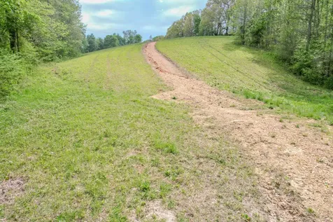 0 Puncheon Branch Minor Hill TN 38473