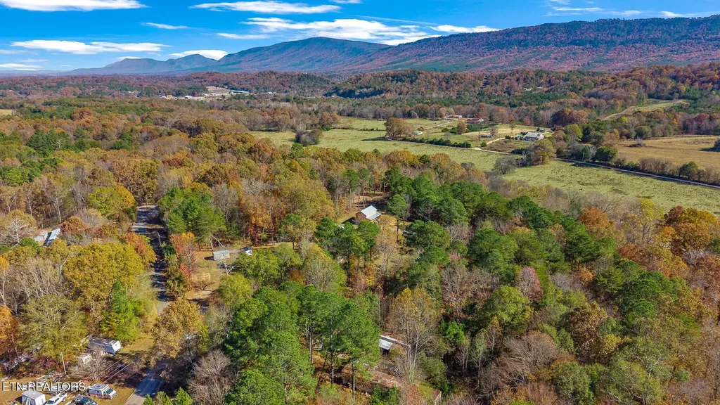 232 Sweeney Road Benton TN 37307