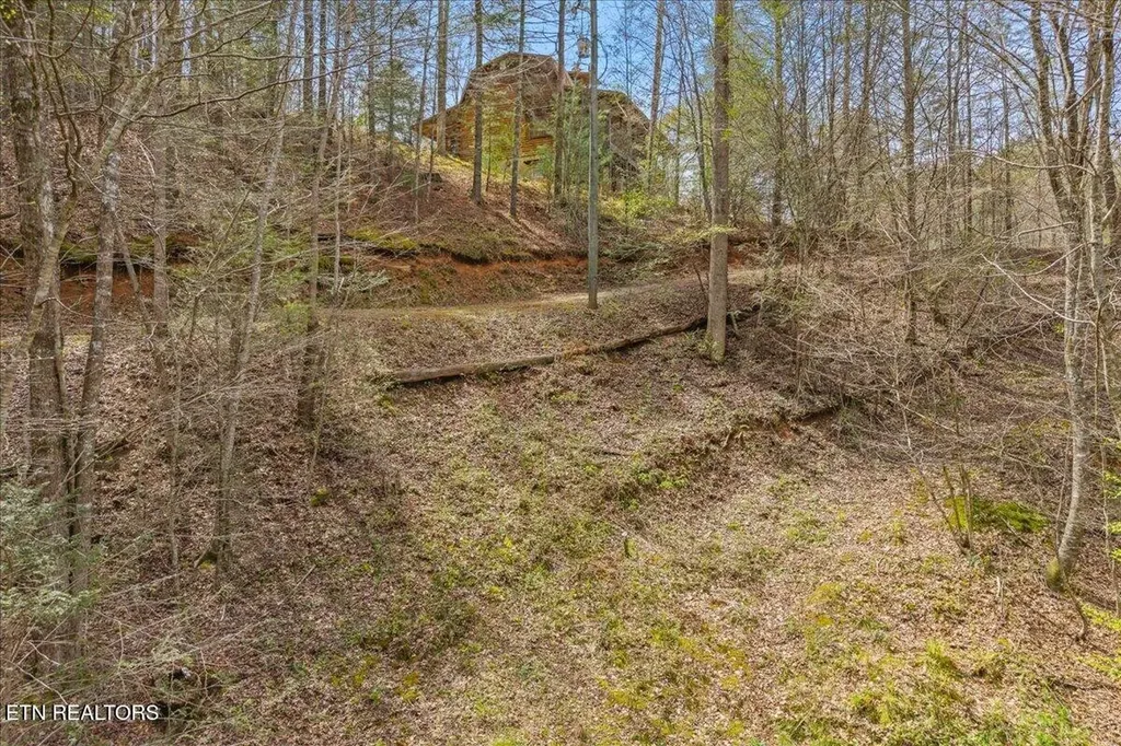 1736 Rafter Road Tellico Plains TN 37385