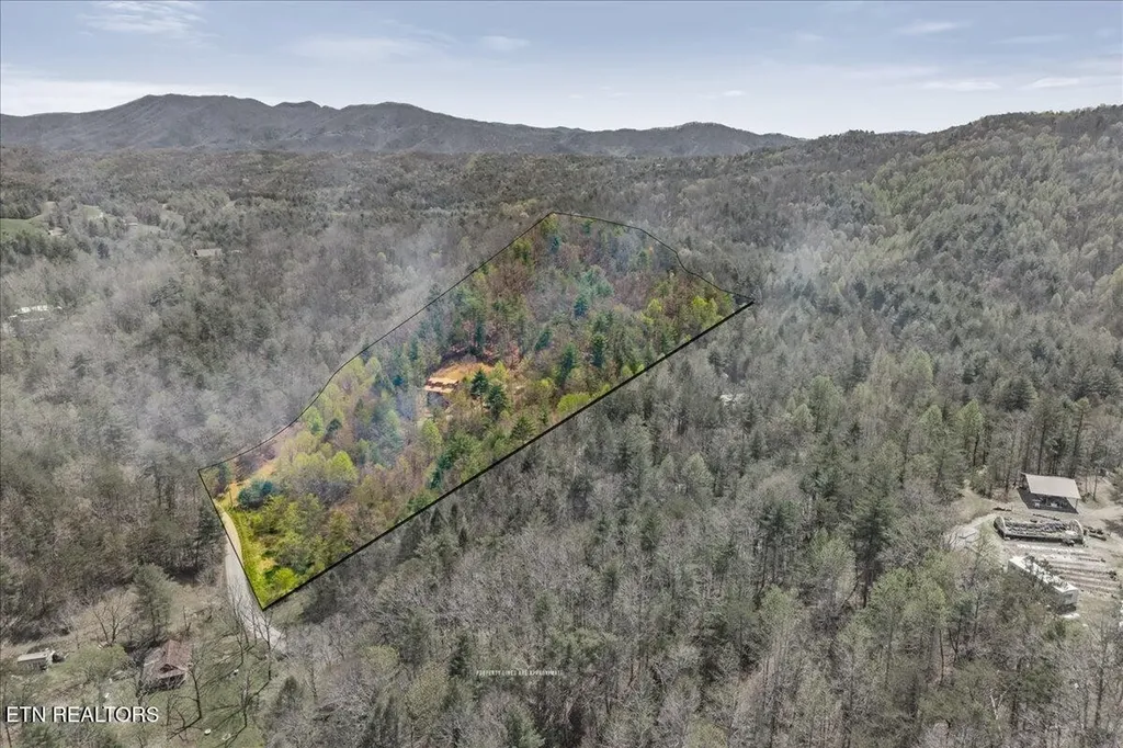 1736 Rafter Road Tellico Plains TN 37385
