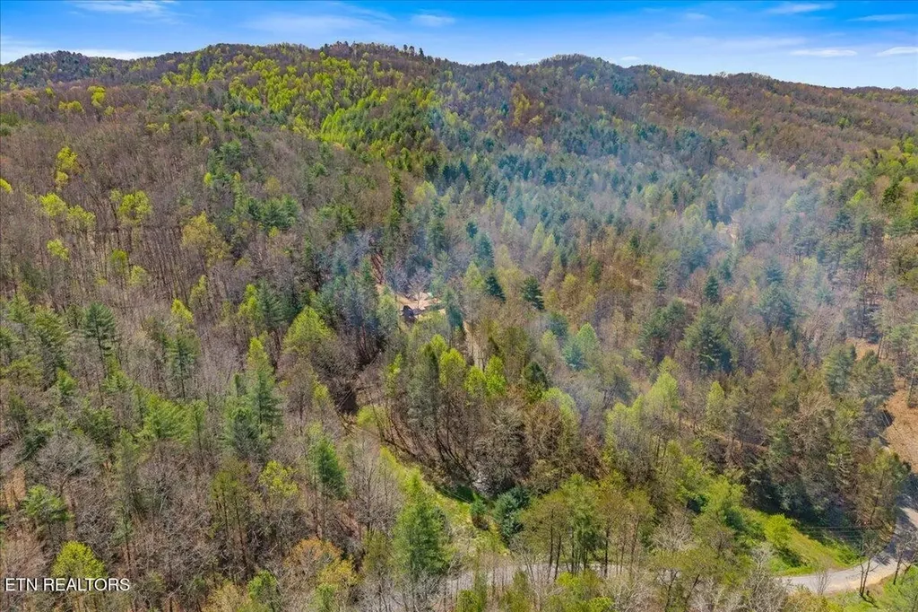 1736 Rafter Road Tellico Plains TN 37385