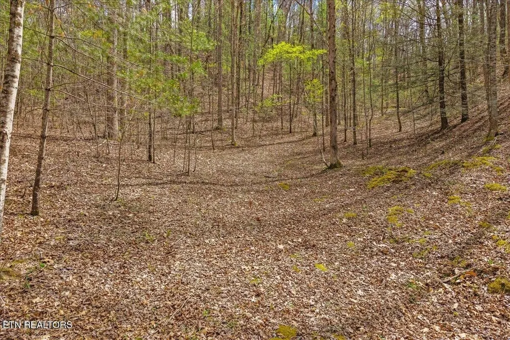 1736 Rafter Road Tellico Plains TN 37385