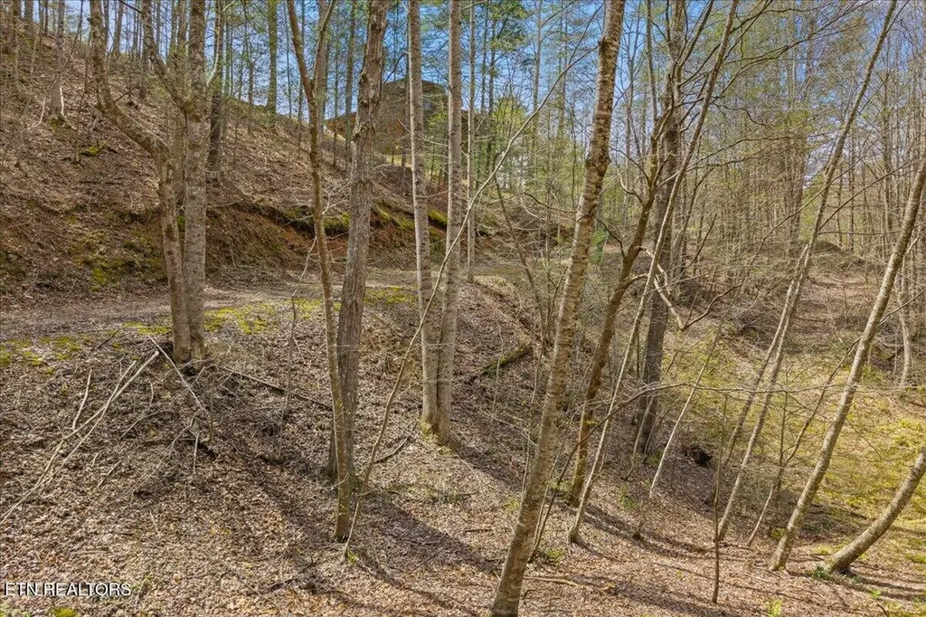 1736 Rafter Road Tellico Plains TN 37385