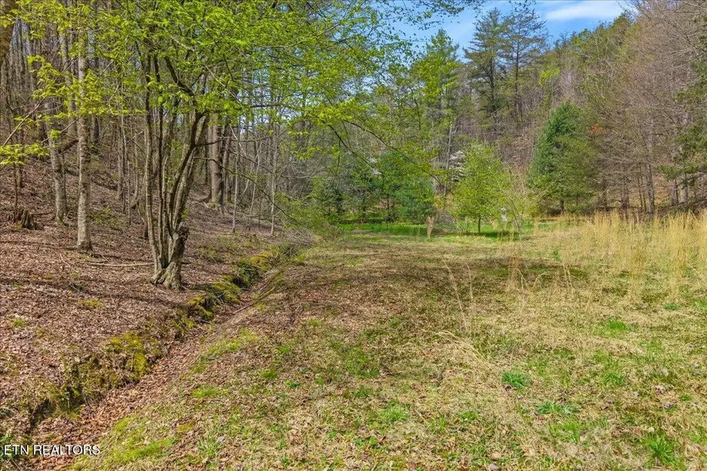 1736 Rafter Road Tellico Plains TN 37385