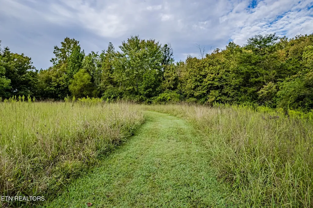0 County Road 432 Englewood TN 37329