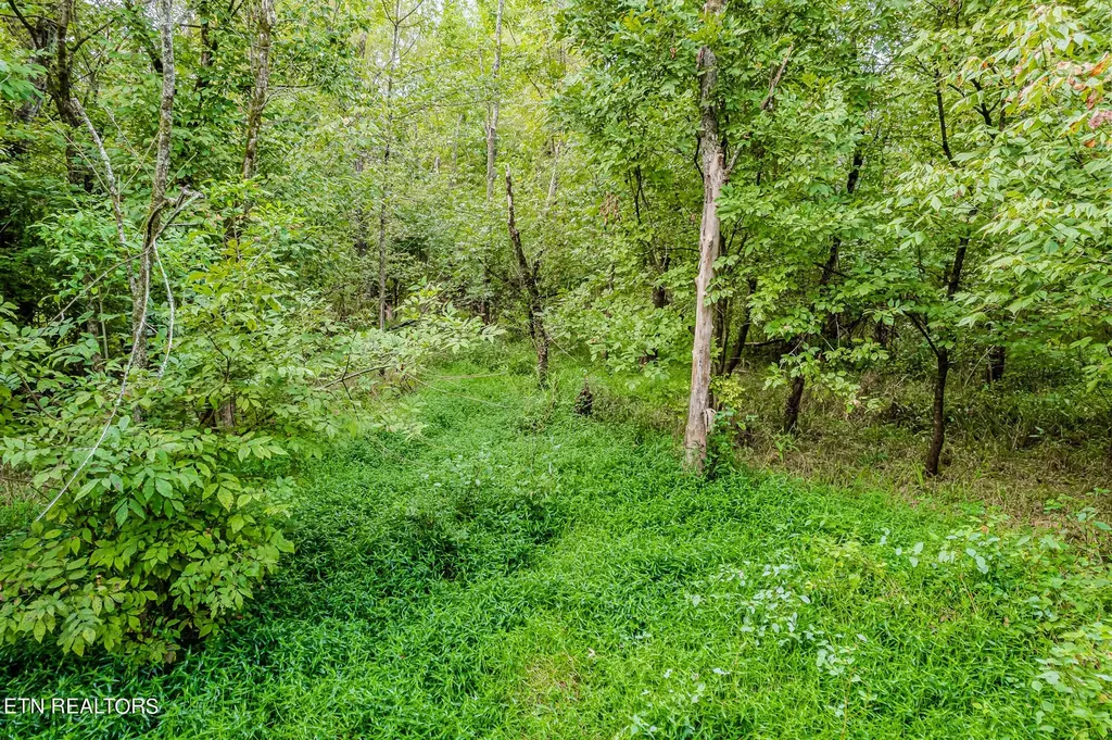 0 County Road 432 Englewood TN 37329