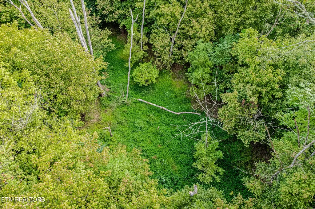 0 County Road 432 Englewood TN 37329