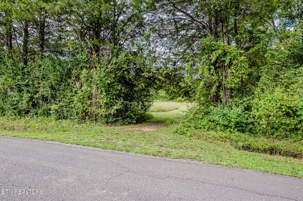 0 County Road 432 Englewood TN 37329