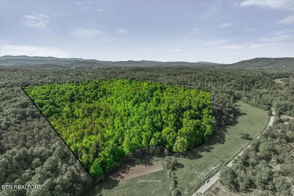 0 Shadden Road Tellico Plains TN 37385