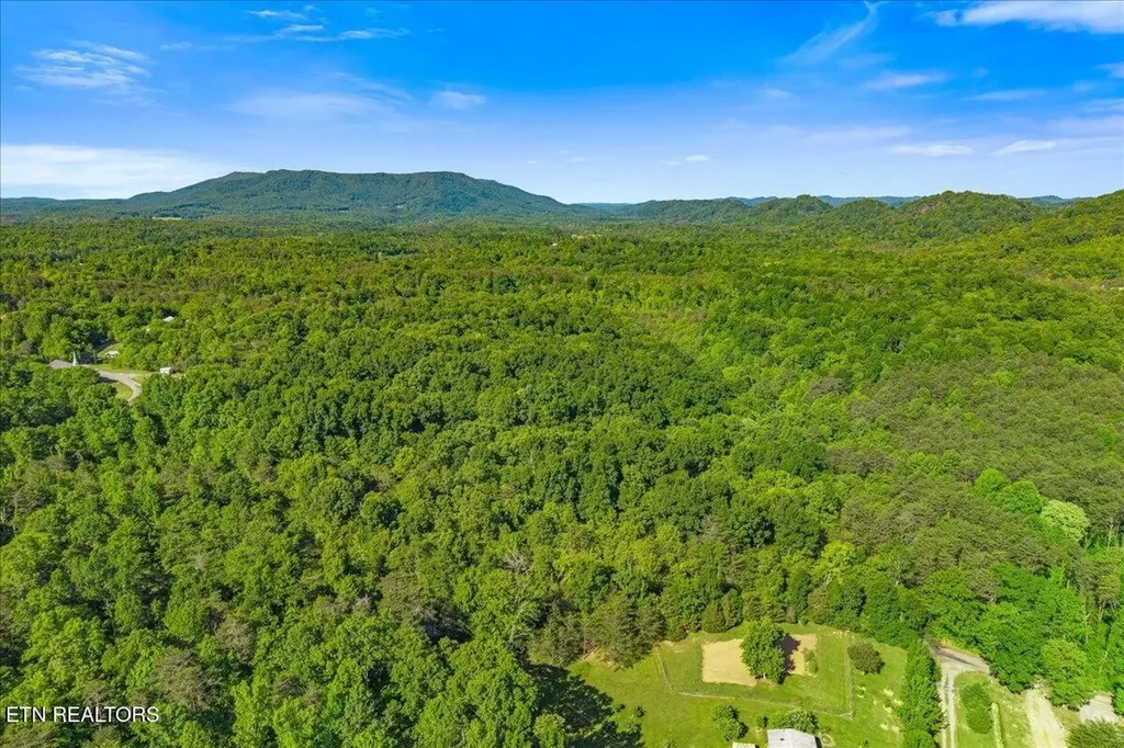 0 Shadden Road Tellico Plains TN 37385