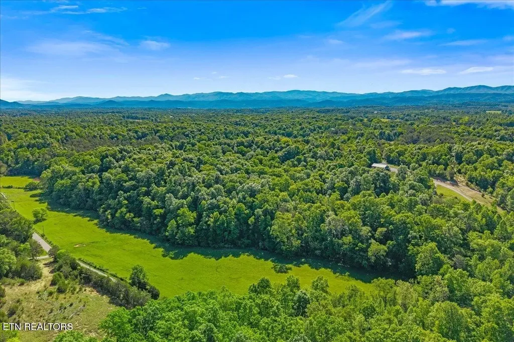0 Shadden Road Tellico Plains TN 37385