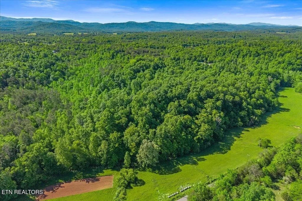 0 Shadden Road Tellico Plains TN 37385