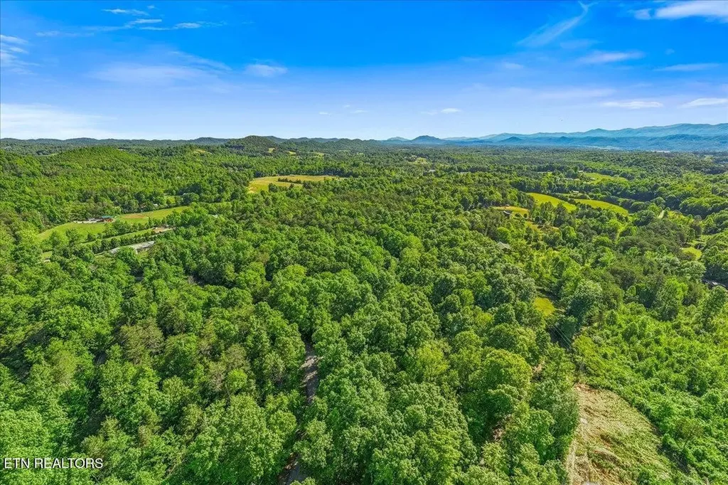 0 Shadden Road Tellico Plains TN 37385