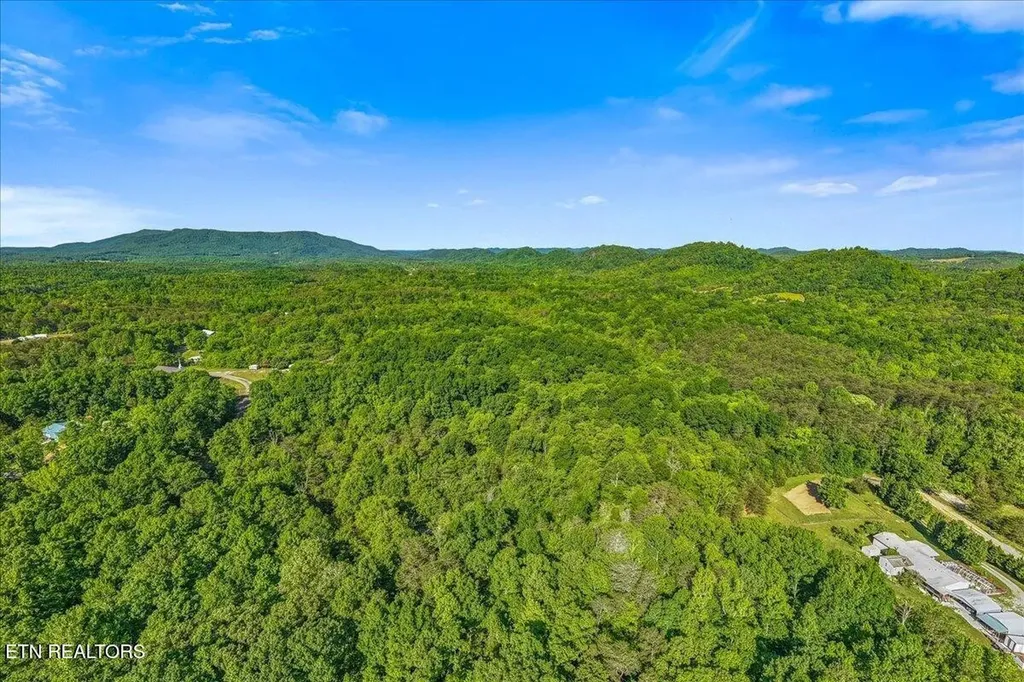 0 Shadden Road Tellico Plains TN 37385