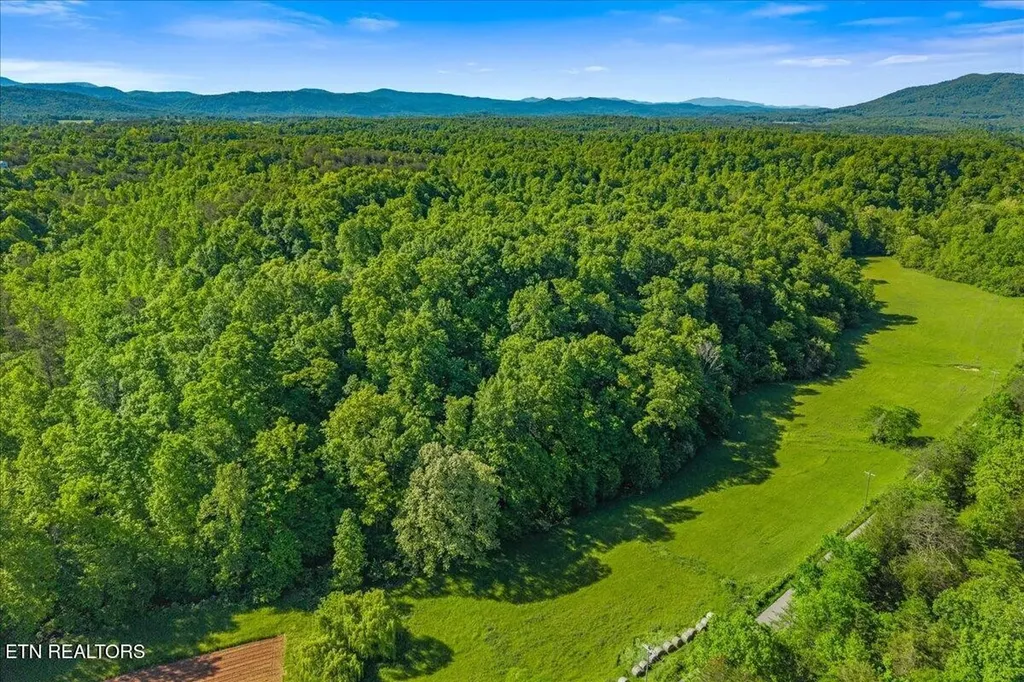 0 Shadden Road Tellico Plains TN 37385