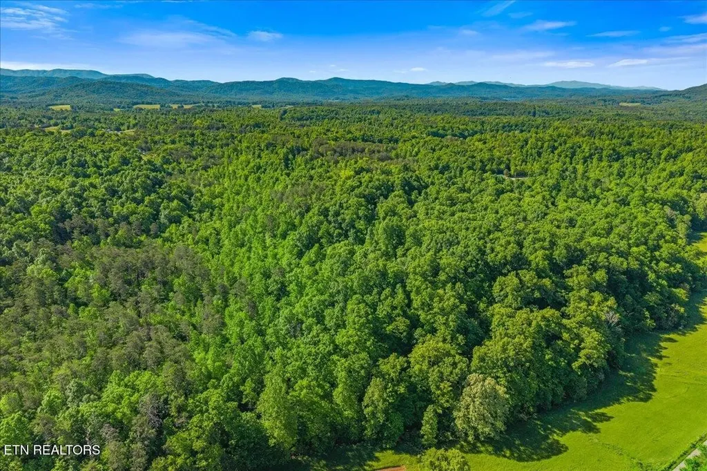 0 Shadden Road Tellico Plains TN 37385