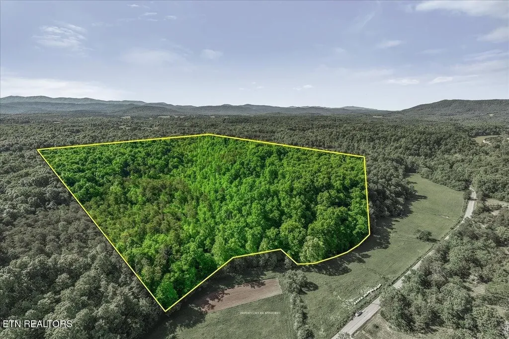 0 Shadden Road Tellico Plains TN 37385