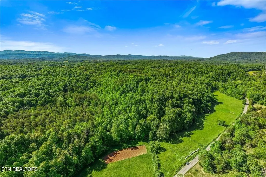 0 Shadden Road Tellico Plains TN 37385