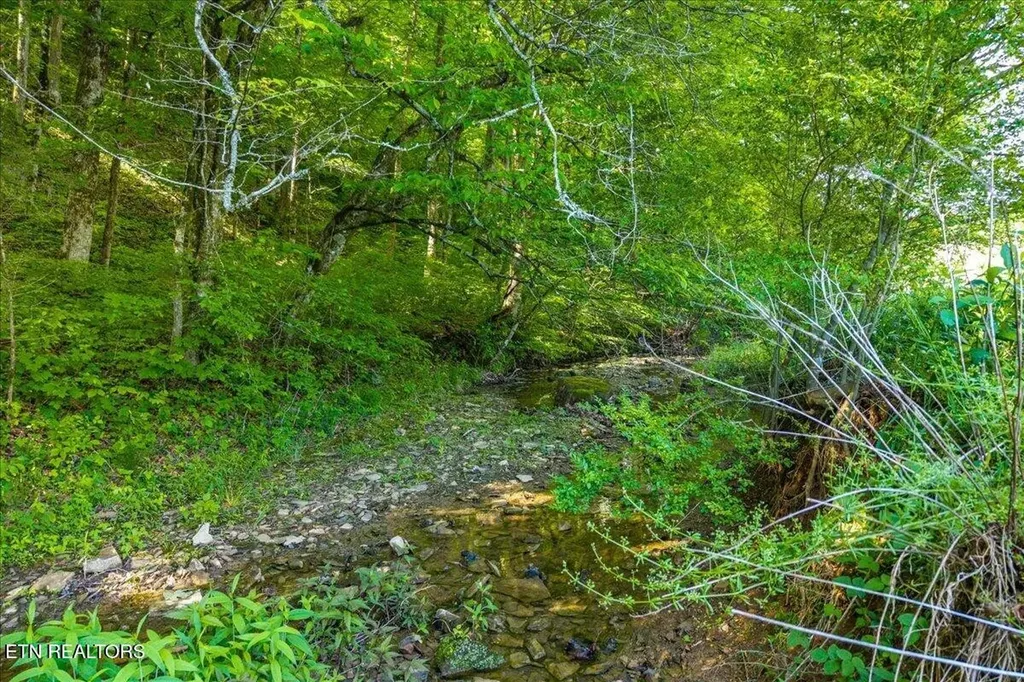 0 Shadden Road Tellico Plains TN 37385