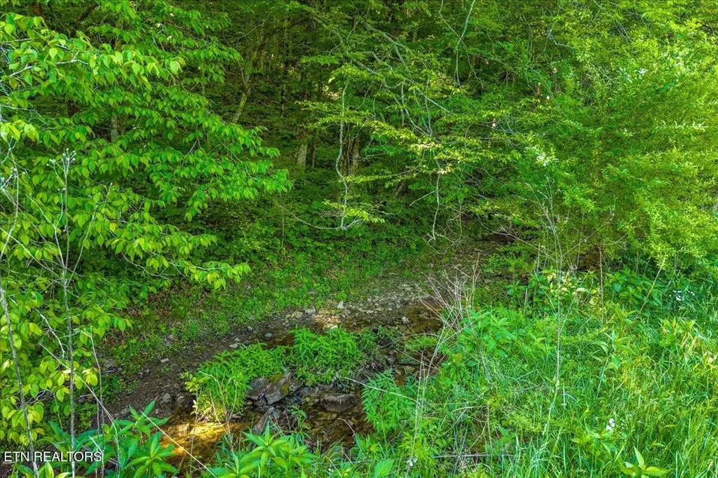 0 Shadden Road Tellico Plains TN 37385