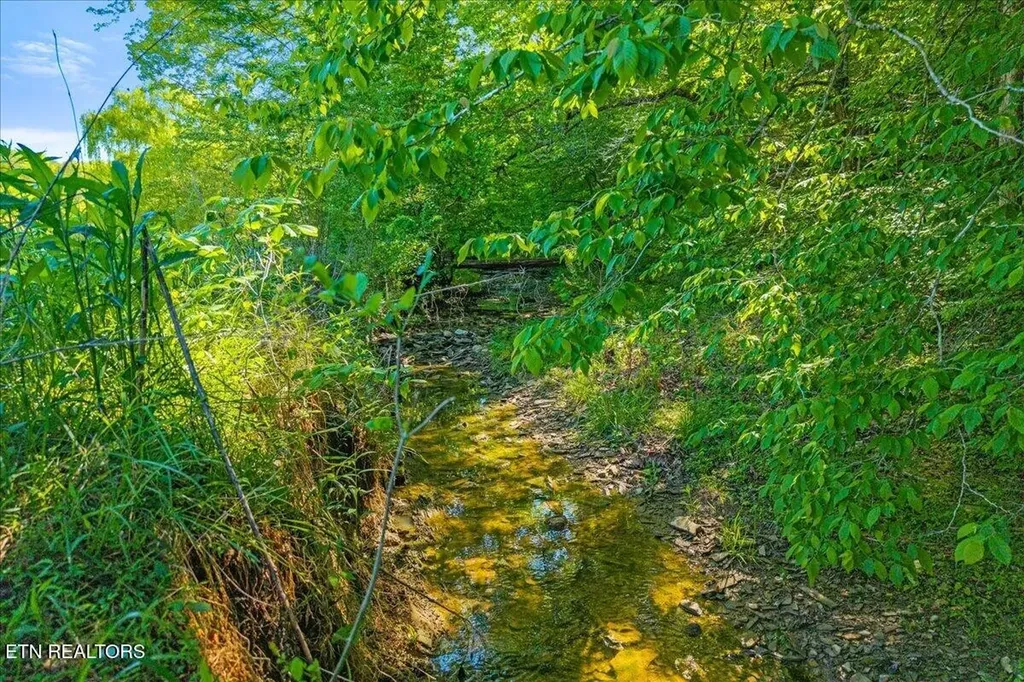 0 Shadden Road Tellico Plains TN 37385