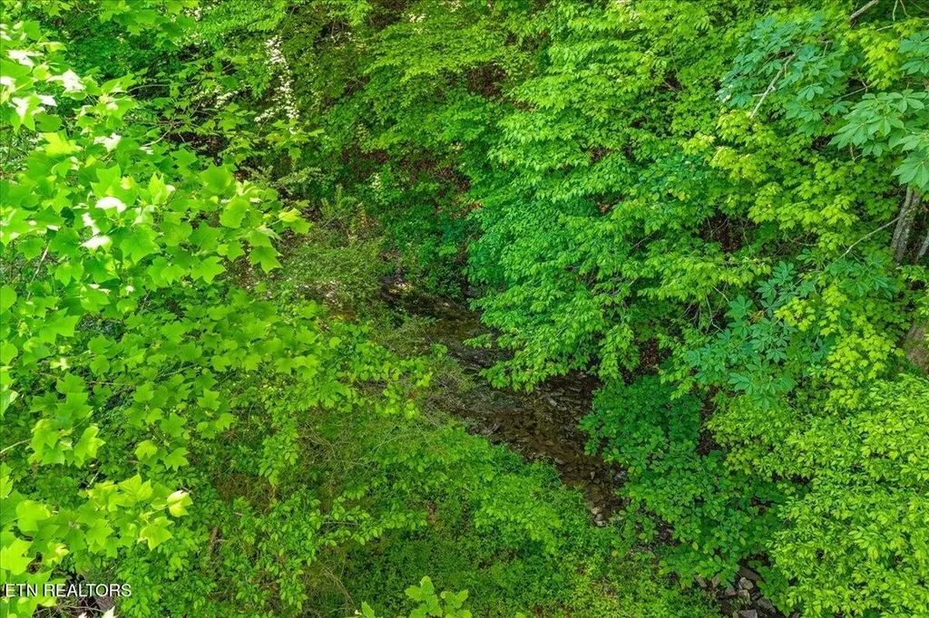 0 Shadden Road Tellico Plains TN 37385