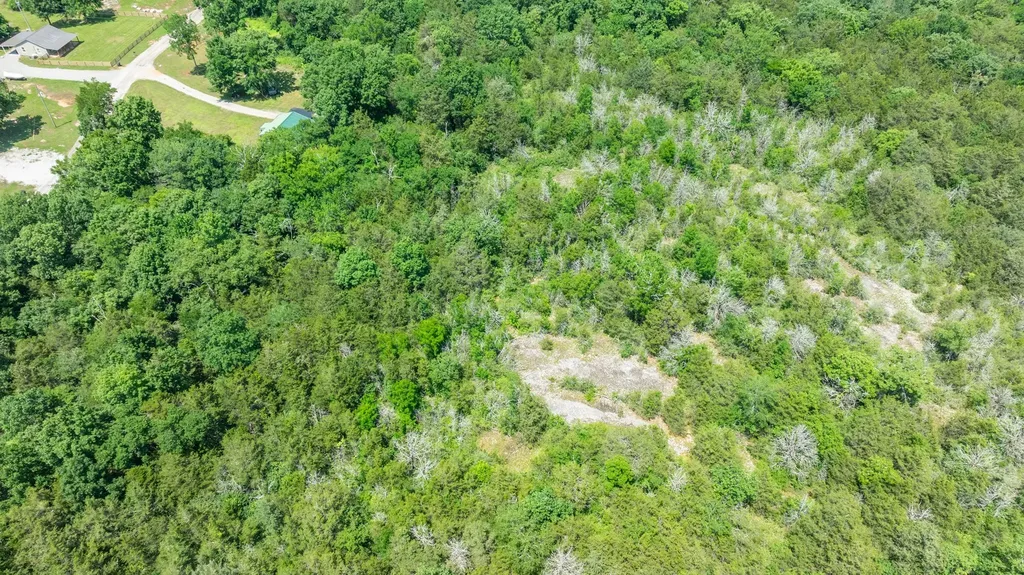 1115 Miller Road Lewisburg TN 37091