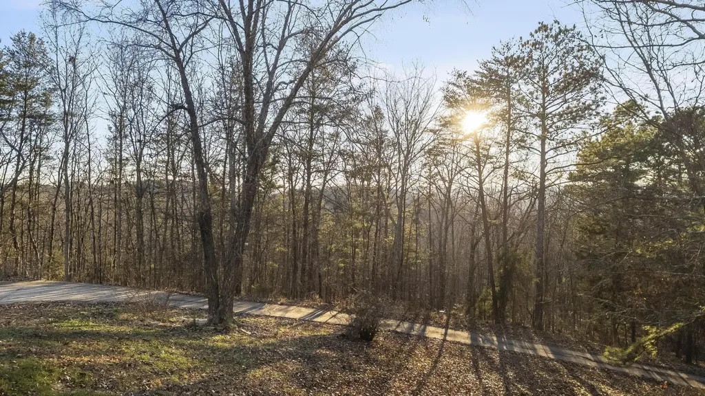 345 Potter Place Road, NW Charleston TN 37310