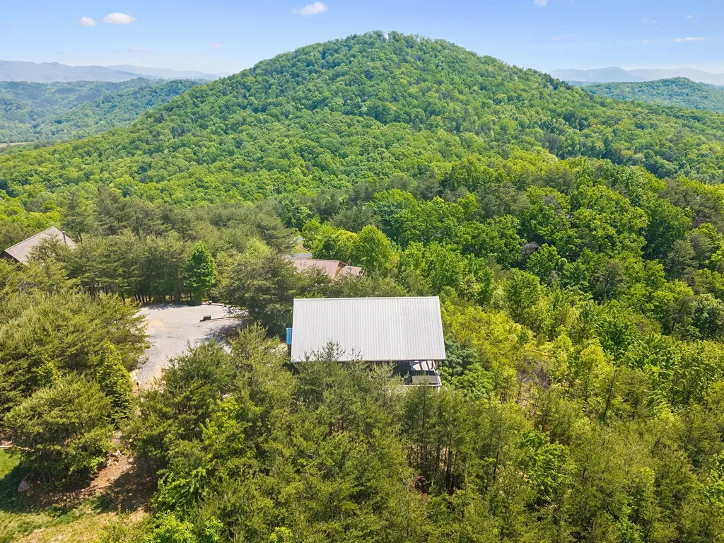 117 Skyline Drive Tellico Plains TN 37385