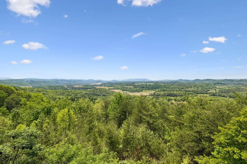 117 Skyline Drive Tellico Plains TN 37385