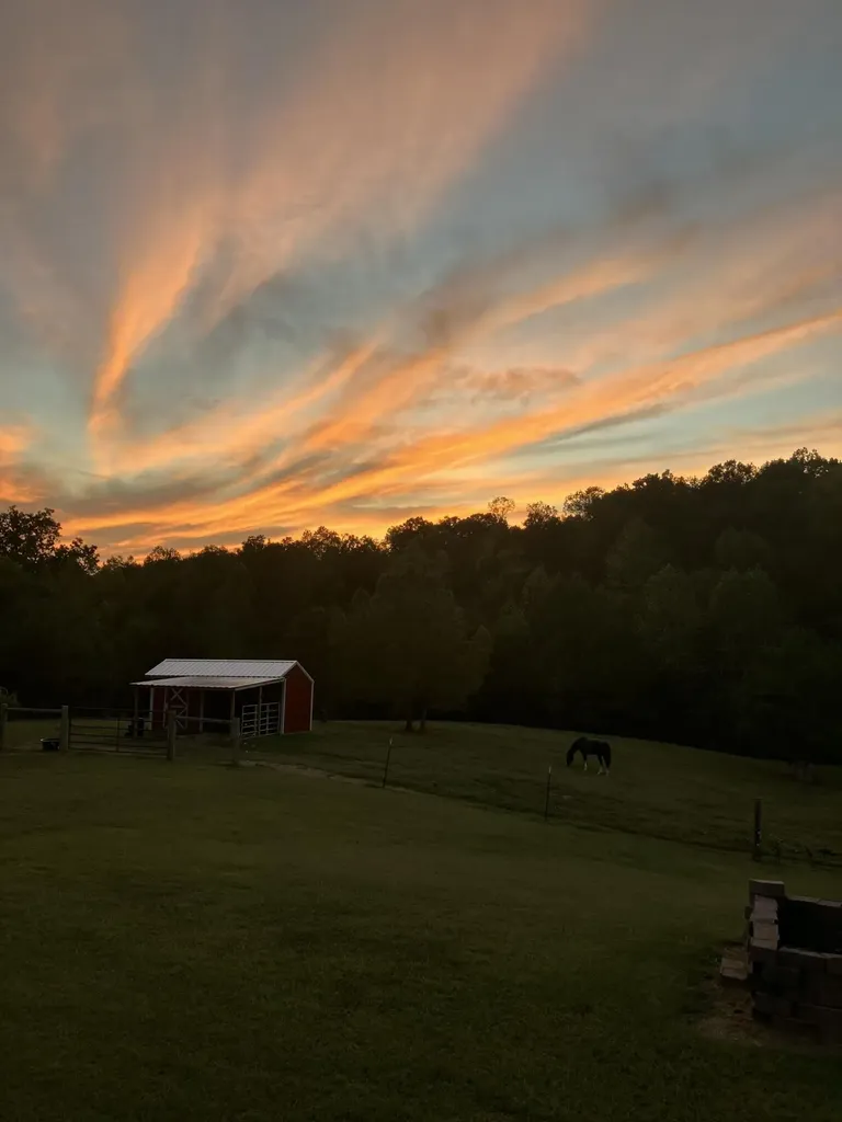 336 County Road 105 Athens TN 37303