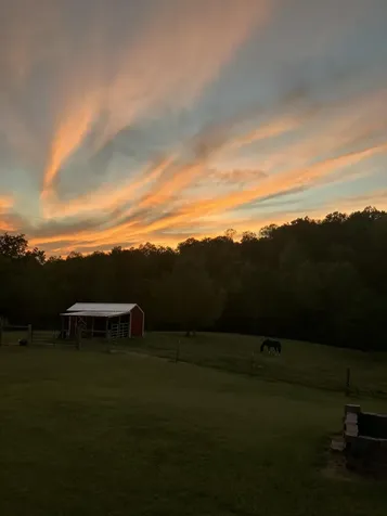 336 County Road 105 Athens TN 37303
