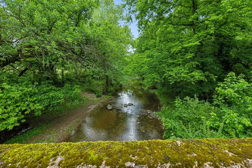 0 Earl Steel Road E Brush Creek TN 38547