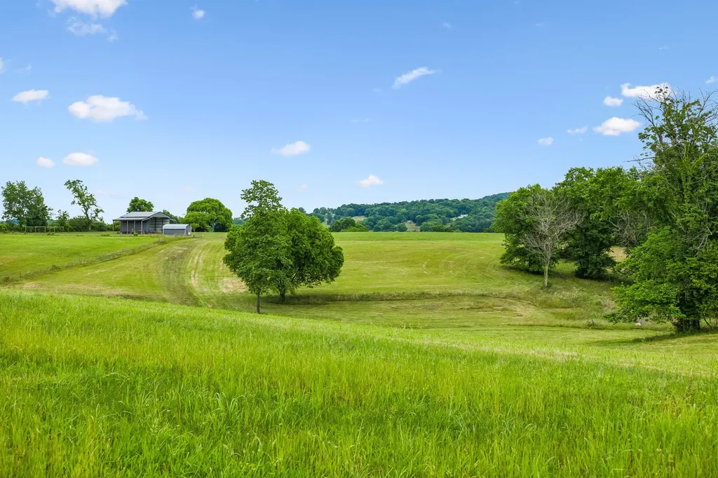 0 Earl Steel Road E Brush Creek TN 38547