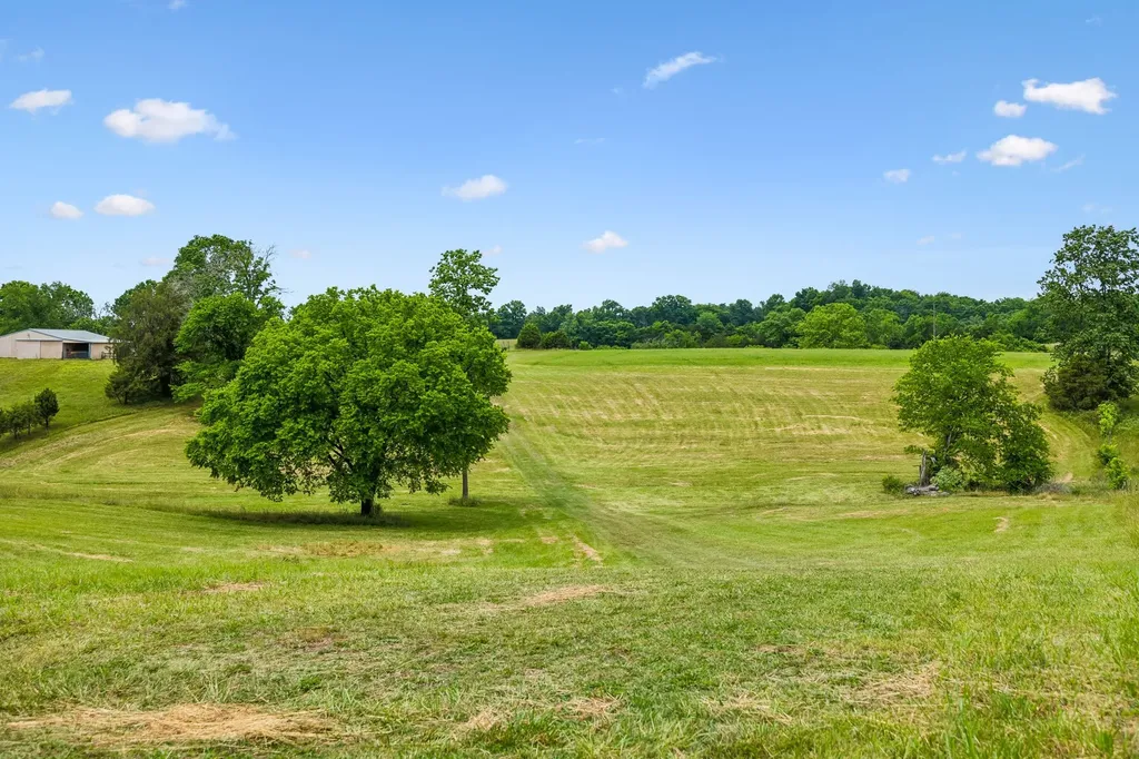 0 Earl Steel Road E Brush Creek TN 38547