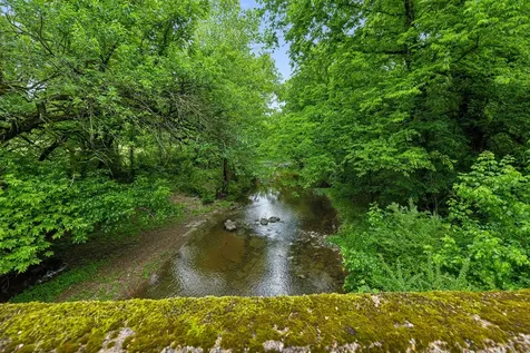0 Earl Steel Road E Brush Creek TN 38547