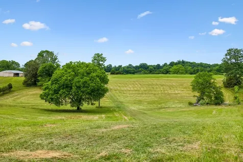 0 Earl Steel Road E Brush Creek TN 38547